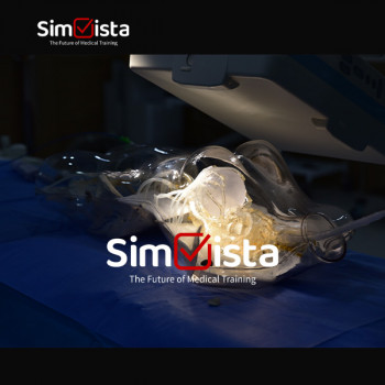 심비스타(Simvista)